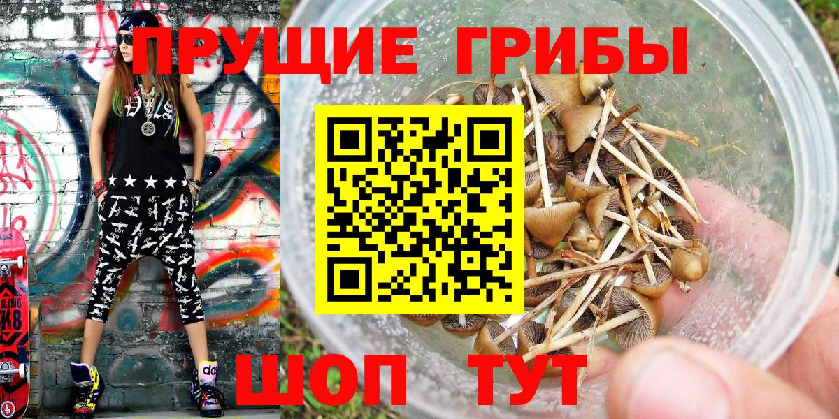Псилоцибиновые грибы GOLDEN TEACHER  наркота  Железноводск  Вход с VPN 