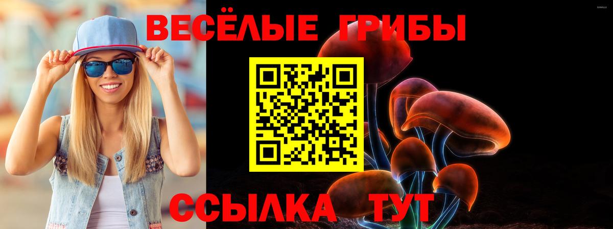 Галлюциногенные грибы Cubensis Железноводск